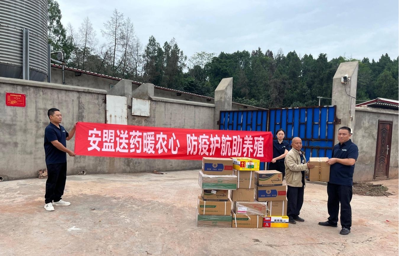 152035086417619006569947393904 安盟财险图片1.jpg